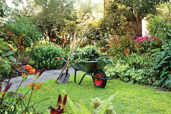 Garden refuse removal in Pretoria and surrounding areas